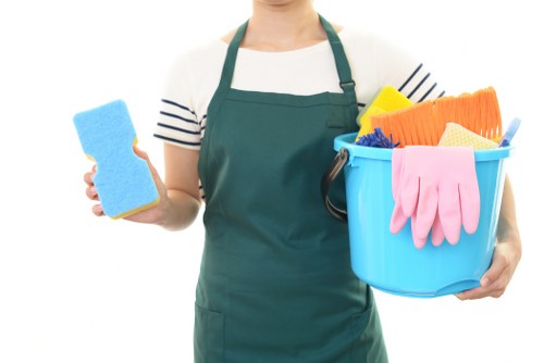 Professional home cleaners in Kingston working in a bright living room