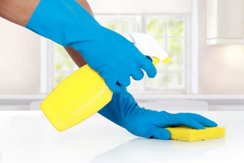 Professional oven cleaner in Kingston removing grease from a kitchen oven