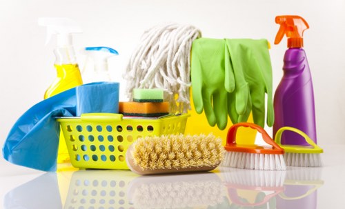Domestic cleaner in Kingston preparing a spotless kitchen