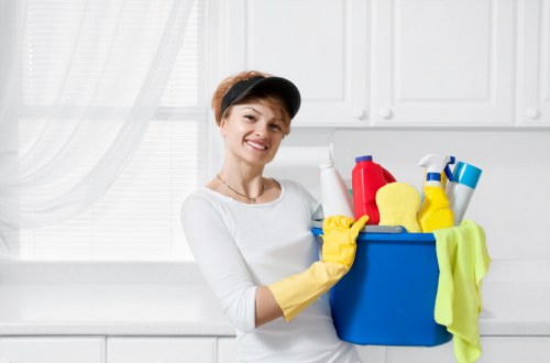 Deep cleaning tools and supplies used by home cleaners in Kingston