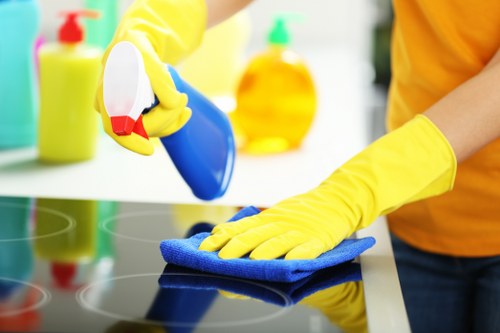 Deep cleaning services in Kingston for kitchens and bathrooms