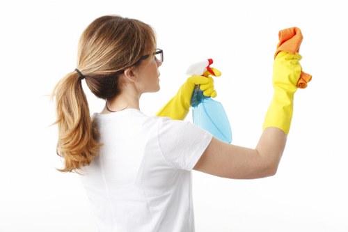 Professional cleaners in Kingston servicing a modern home