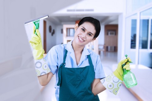 Regular domestic cleaning in Kingston helping maintain a fresh home