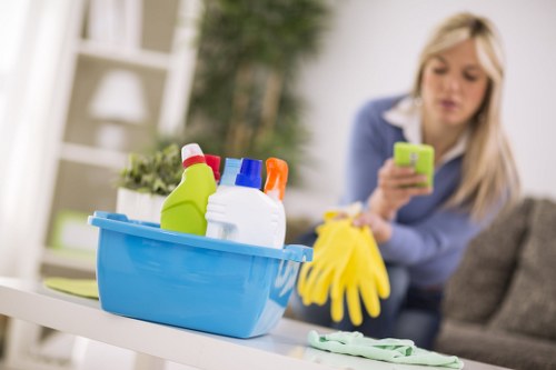 Local Kingston cleaning professionals providing detailed property care