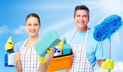 Eco-friendly cleaners in Kingston using sustainable products
